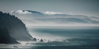 Picture of CALIFORNIA COASTLINE