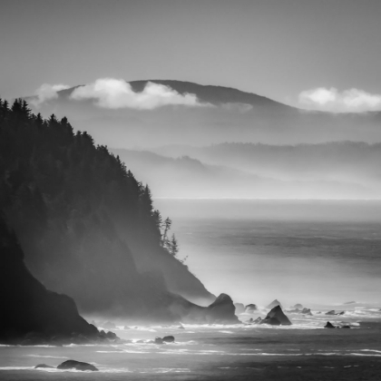 Picture of CALIFORNIA COASTLINE BW