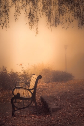 Picture of PARK BENCH IN THE FOG