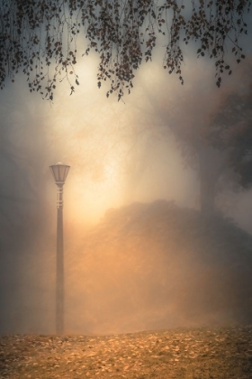 Picture of LAMPPOST IN THE FOG