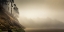 Picture of MISTY COVE