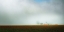 Picture of MISTY FIELDS OF CLOVER