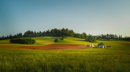 Picture of ROLLING HILLS, TRANQUIL FARM I