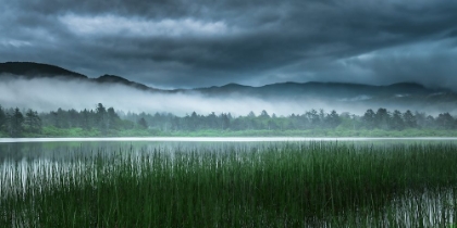 Picture of LAKESIDE MIST
