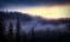 Picture of EVENING FOG DRIFTS IN