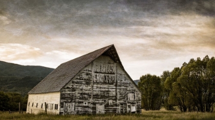 Picture of WHITE BARN