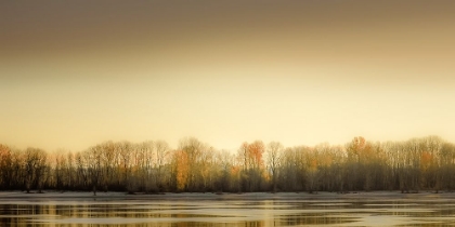 Picture of FROSTY WETLAND