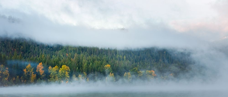 Picture of A TOUCH OF AUTUMN