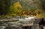 Picture of BRIDGE OVER THE WENATCHEE