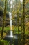 Picture of LEAFY AUTUMN CASCADE