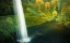 Picture of AUTUMN SPLASH