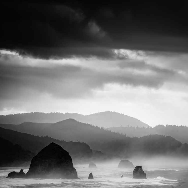 Picture of MISTY TIDE BLACK AND WHITE