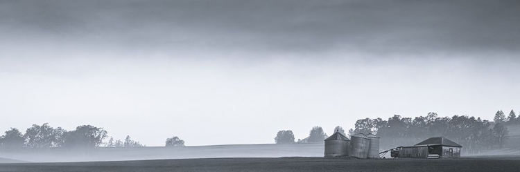 Picture of RUSTIC FIELD AND FOG