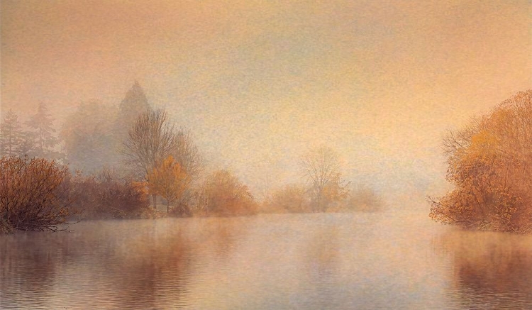 Picture of MISTY AUTUMN POND