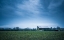 Picture of RUSTIC BARN ON A RAINY MORNING