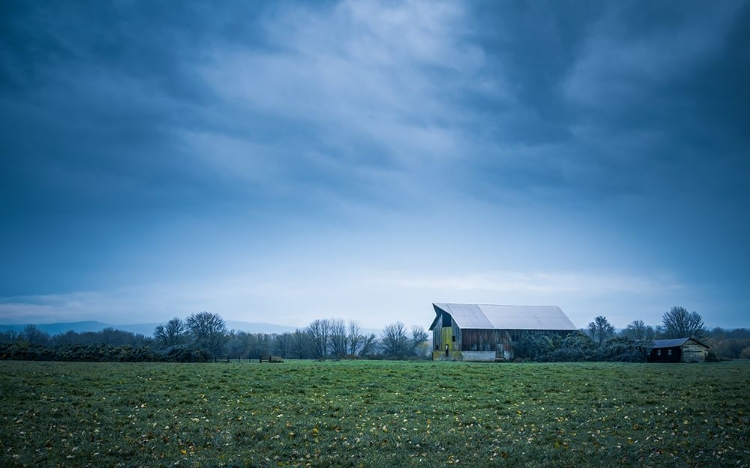 Picture of RUSTIC BARN ON A RAINY MORNING