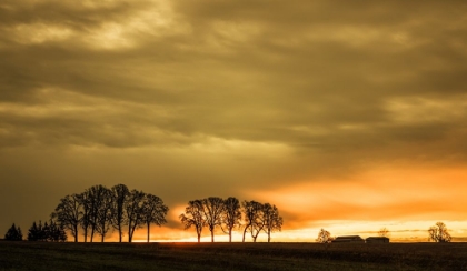 Picture of FIRST RAYS OF MORNING