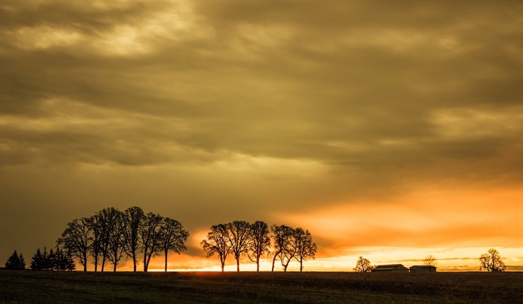 Picture of FIRST RAYS OF MORNING