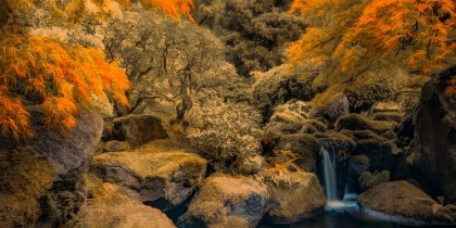 Picture of AUTUMN WATERFALL