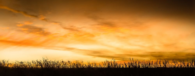 Picture of PASTORAL SUNRISE