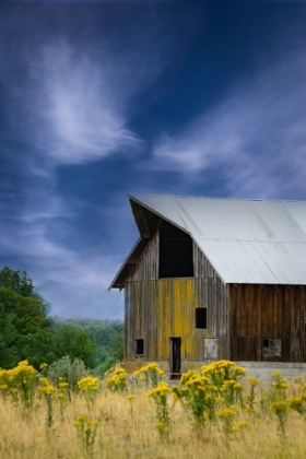 Picture of OLD BARN IN A SUMMER FIELD