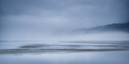 Picture of FOG AT LOW TIDE