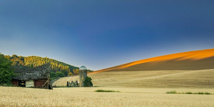 Picture of OLD BARN AND SILO