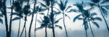 Picture of BIG ISLAND PALMS