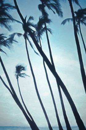 Picture of LEANING PALMS