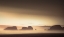 Picture of AT TWILIGHT