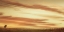 Picture of SUNSET ALONG THE FENCE