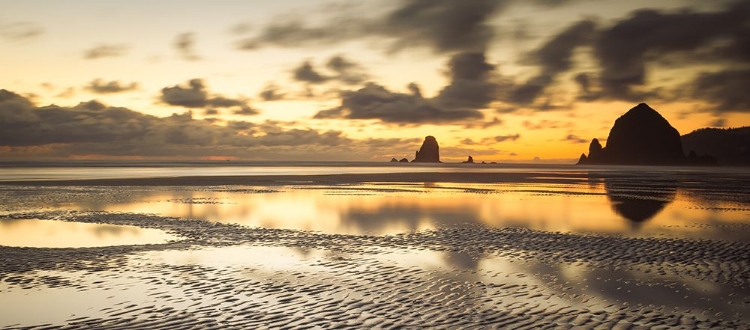 Picture of GOLDEN COASTAL SUNSET