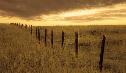 Picture of WHERE THE FENCE MEETS THE SKY