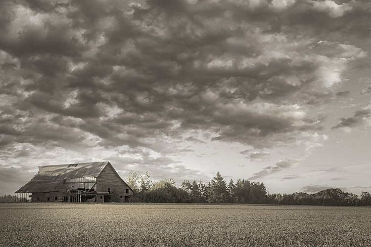 Picture of VALLEY BARN