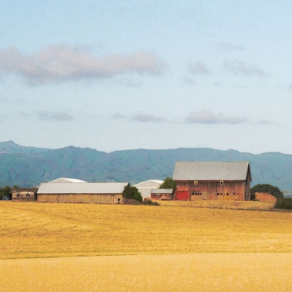 Picture of ON A COUNTRY ROAD