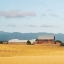 Picture of ON A COUNTRY ROAD