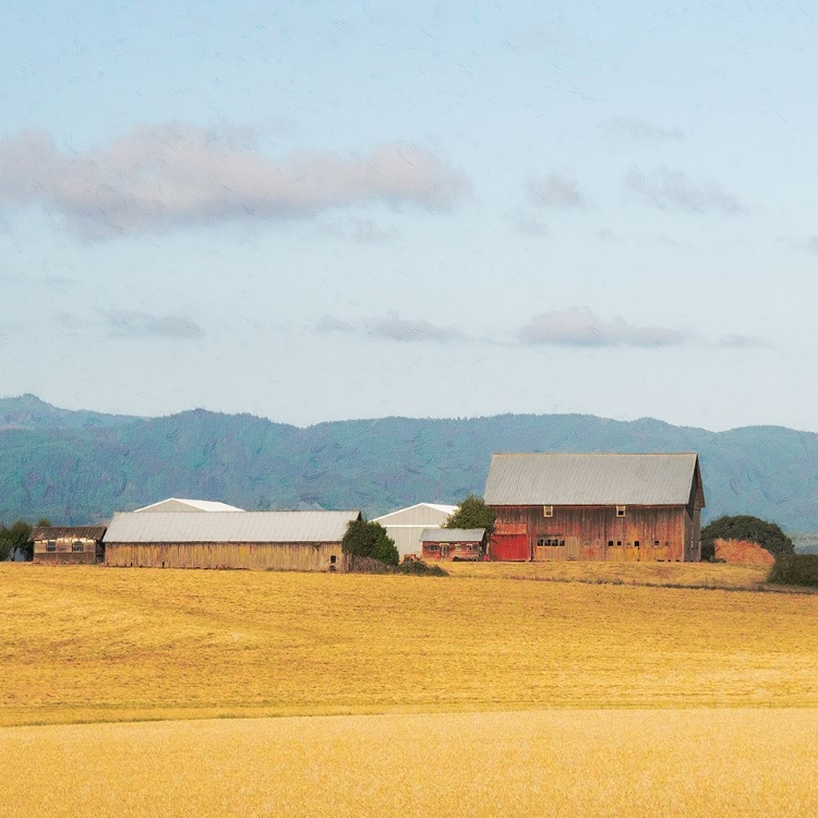 Picture of ON A COUNTRY ROAD