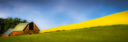 Picture of PALOUSE BARN