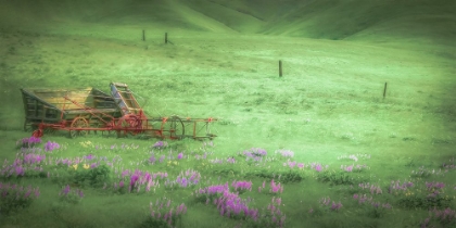Picture of WAGON IN THE MEADOW