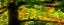 Picture of LIGHT TOUCHES THE AUTUMN LEAVES