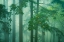 Picture of A PEEK INTO THE MISTY WOODS