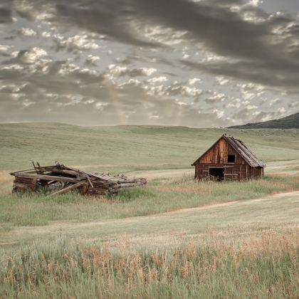 Picture of CABIN ON THE HILLSIDE