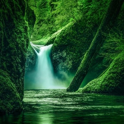 Picture of PUNCHBOWL FALLS