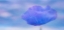 Picture of DEW-DROPPED POPPY