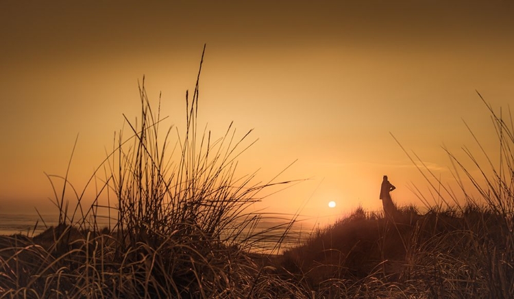 Picture of IN THE DUNES AT SUNSET