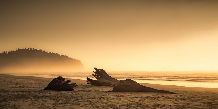 Picture of SOLITARY BEACH AT SUNDOWN