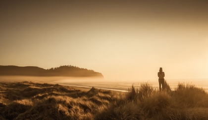 Picture of COASTAL CONTEMPLATION