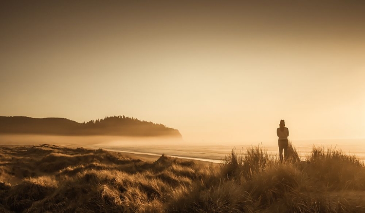 Picture of COASTAL CONTEMPLATION