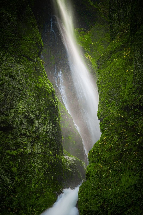 Picture of CASCADING FALLS