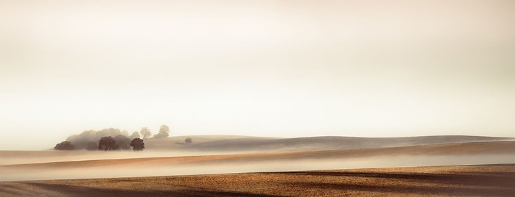 Picture of FOG IN THE COUNTRYSIDE